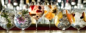 Os 10 melhores gins do mundo pela revista Shortlist